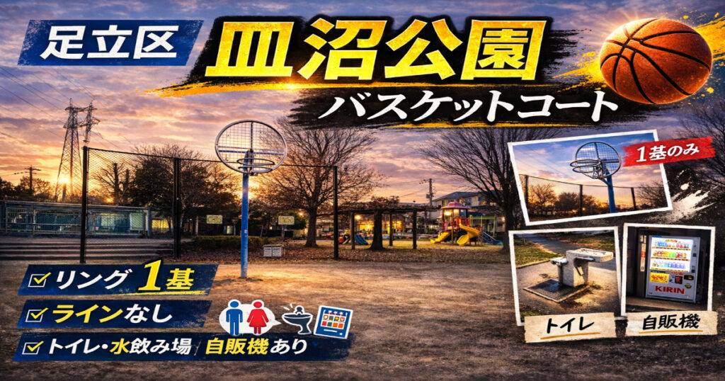 【都内でバスケットコートがある公園】皿沼公園