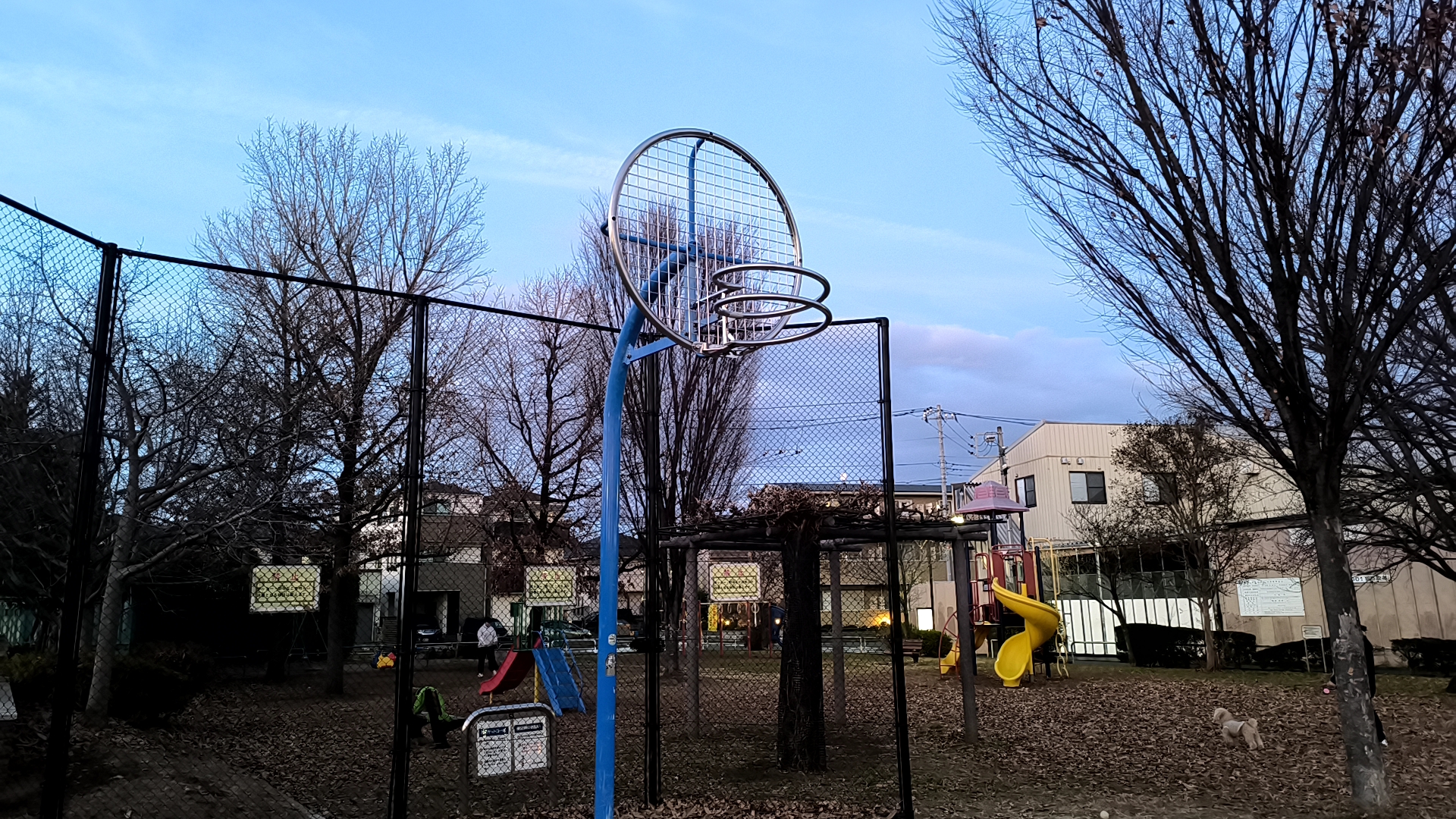夕方の皿沼公園にあるバスケットゴール