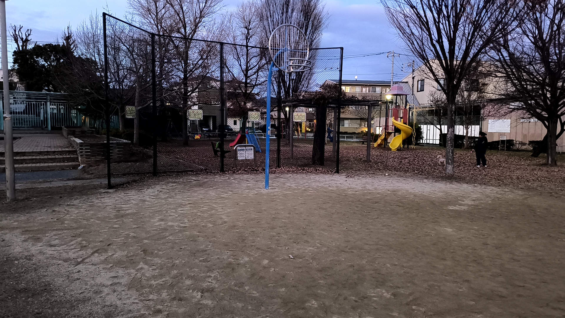 皿沼公園 全景2