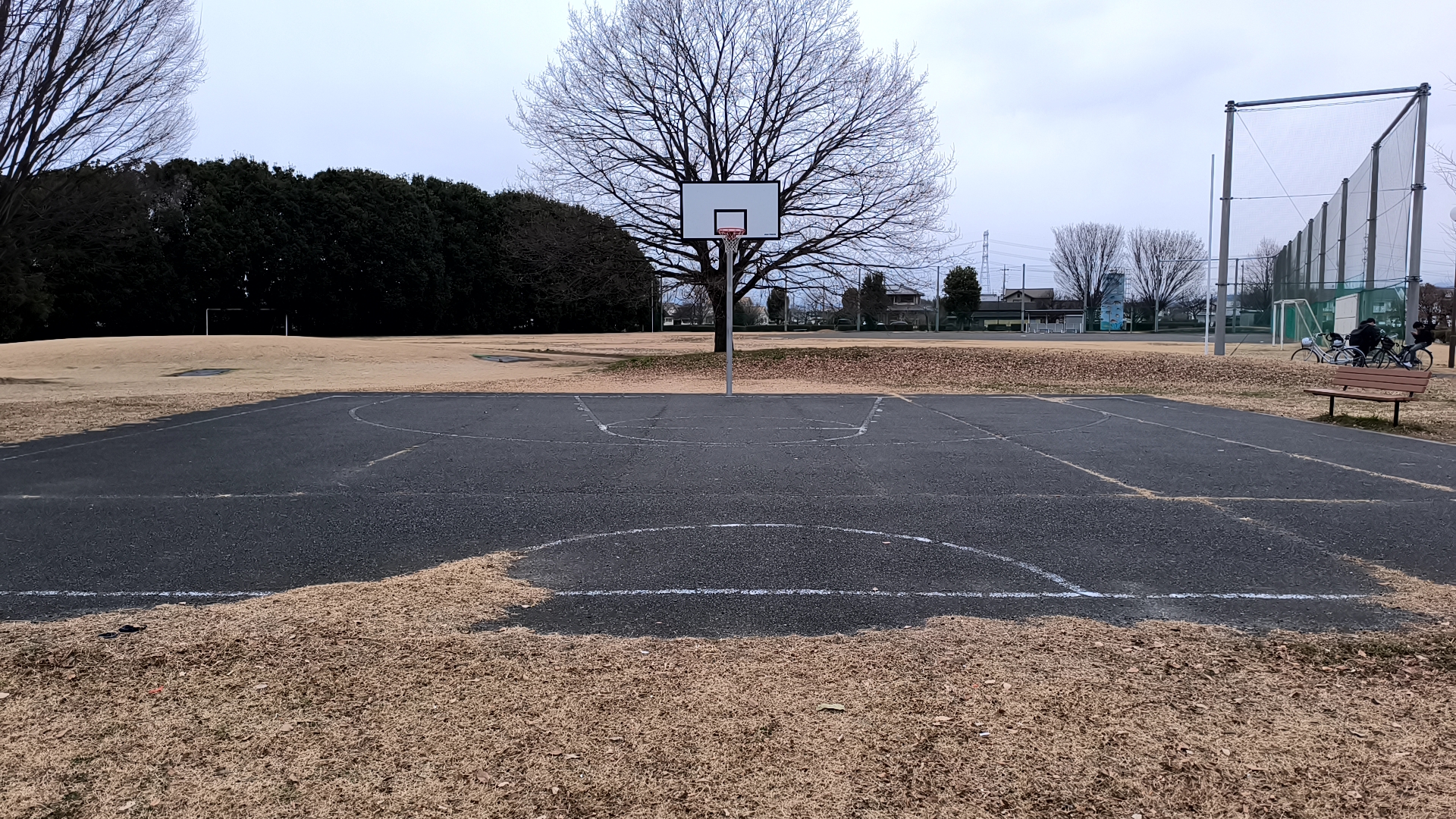 生品コミュニティ運動公園 全景1