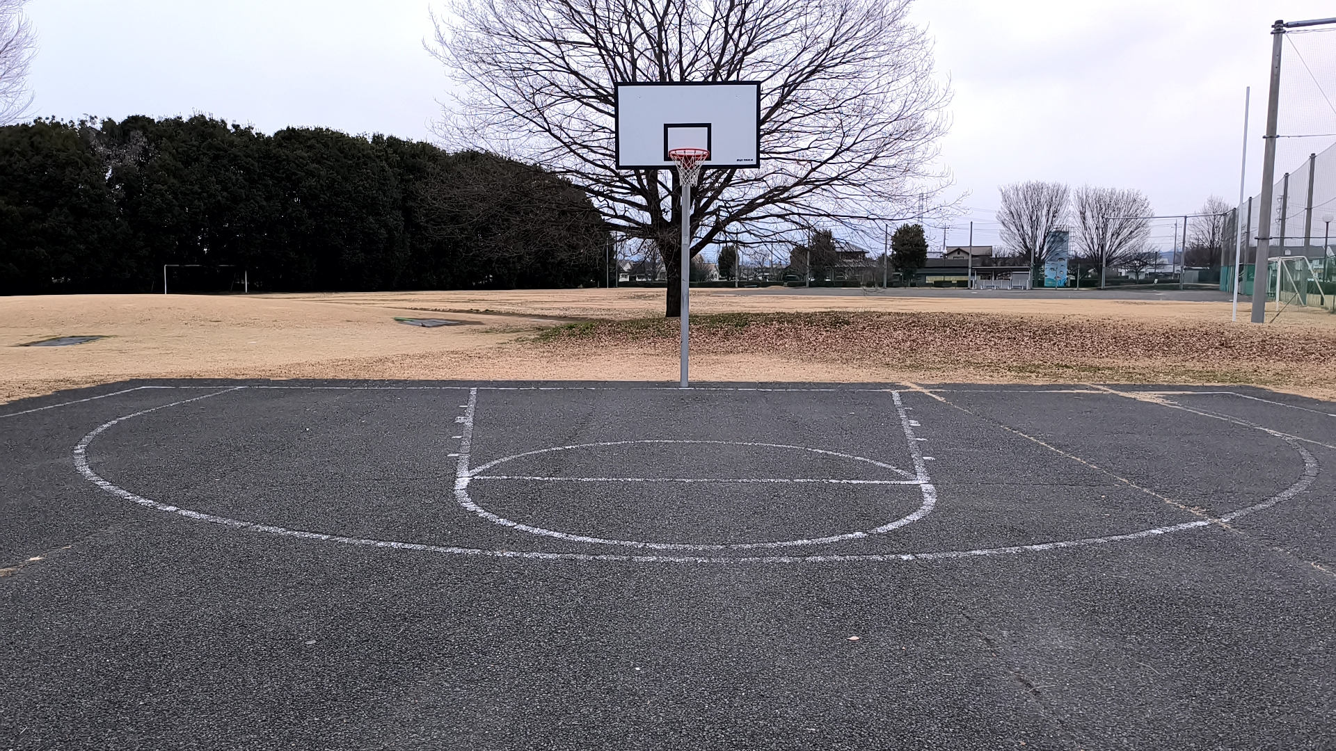 生品コミュニティ運動公園 全景2