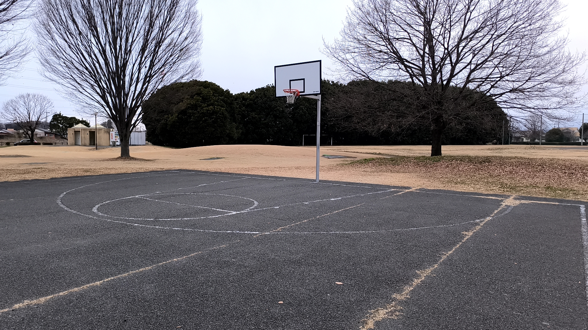 生品コミュニティ運動公園 全景3