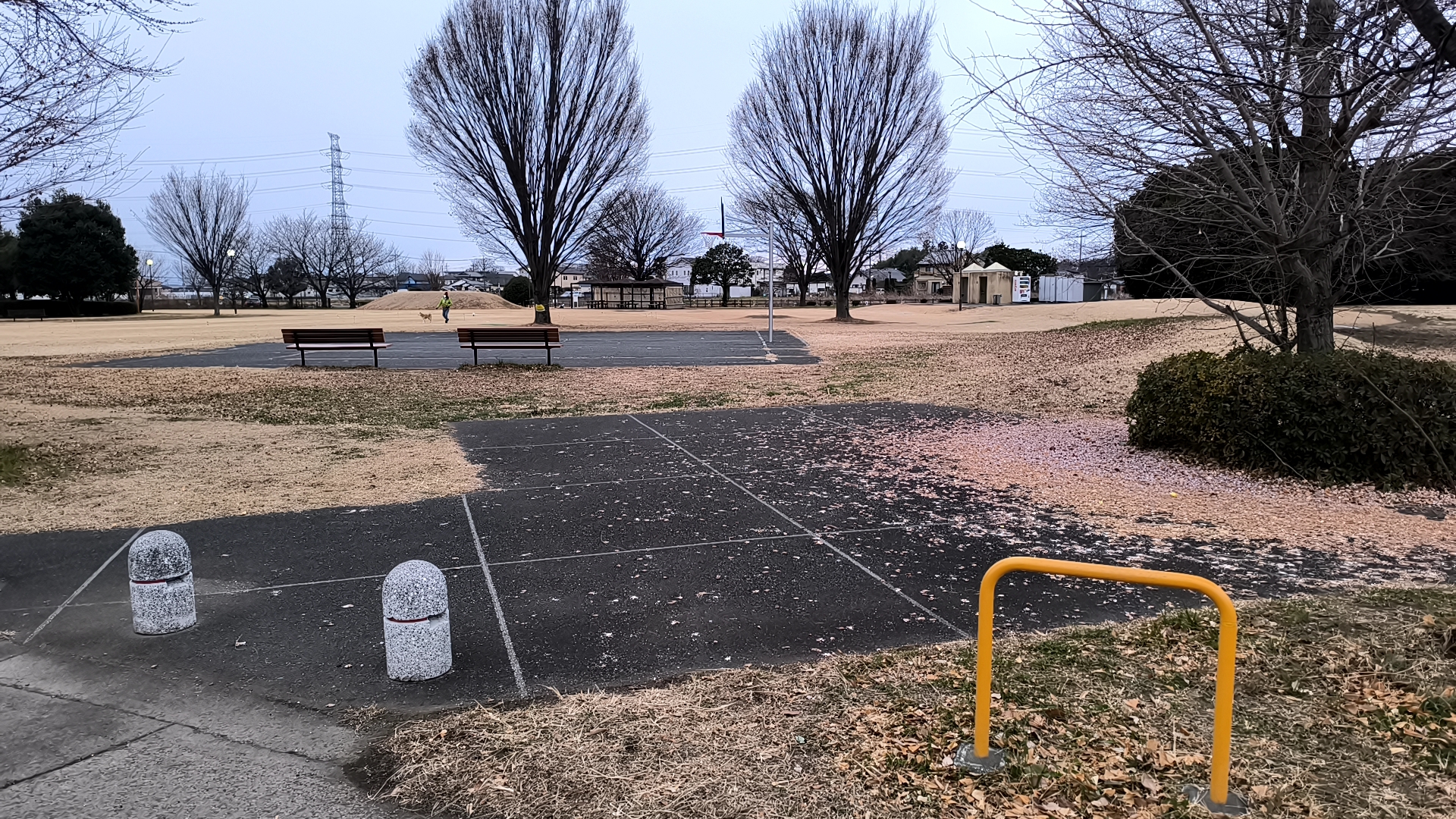 生品コミュニティ運動公園 全景4