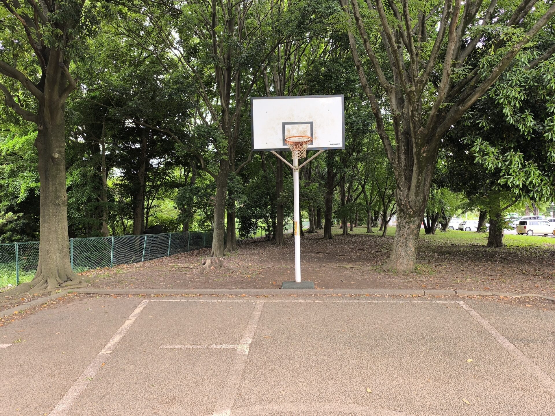 神代植物公園 コート半分1 近くから