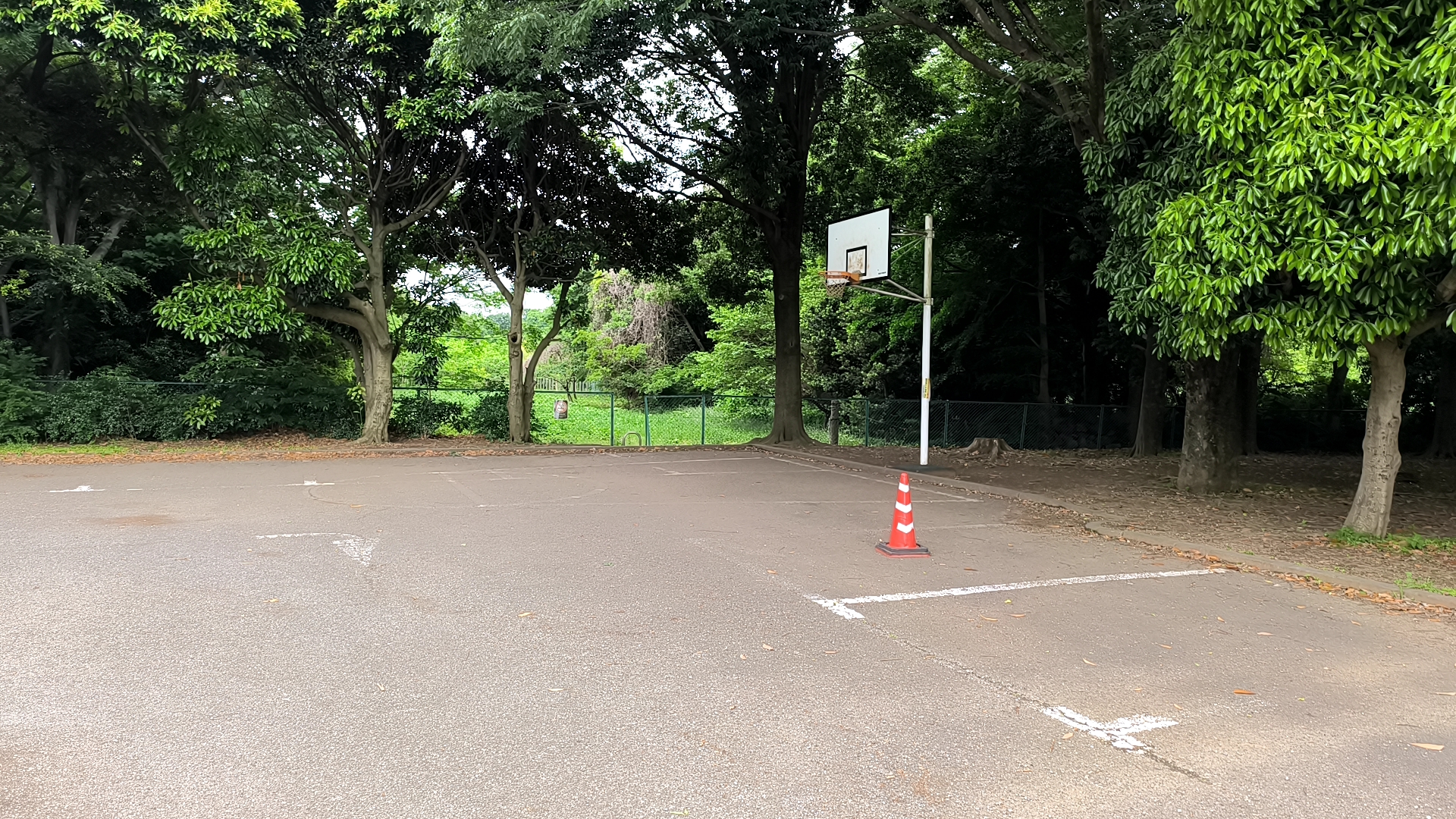 神代植物公園 コート半分1 遠くから