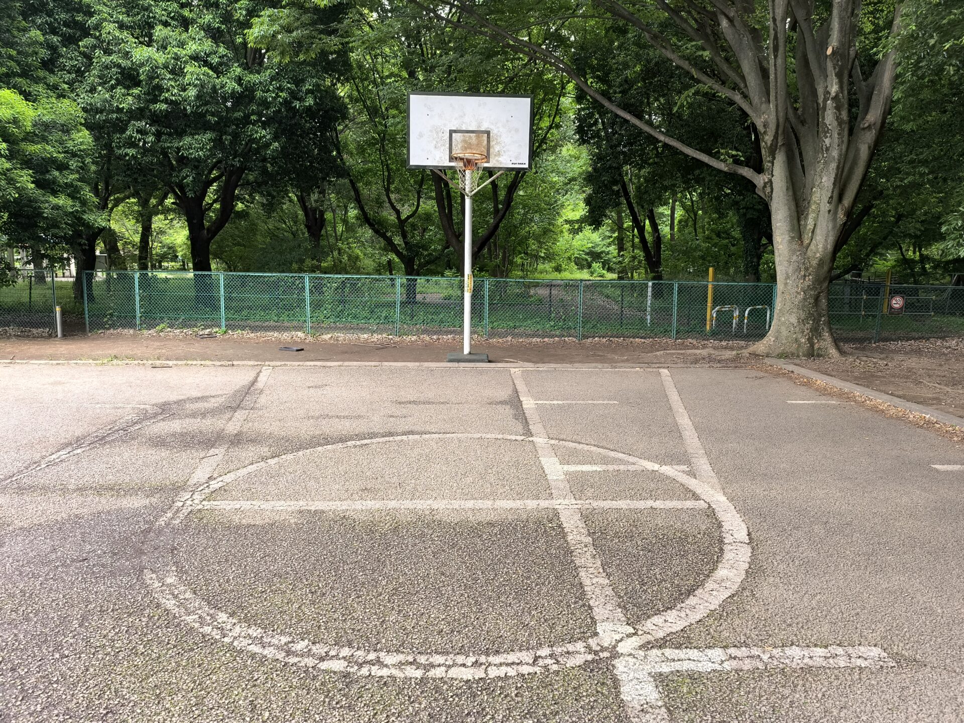 神代植物公園 コート半分2 近くから
