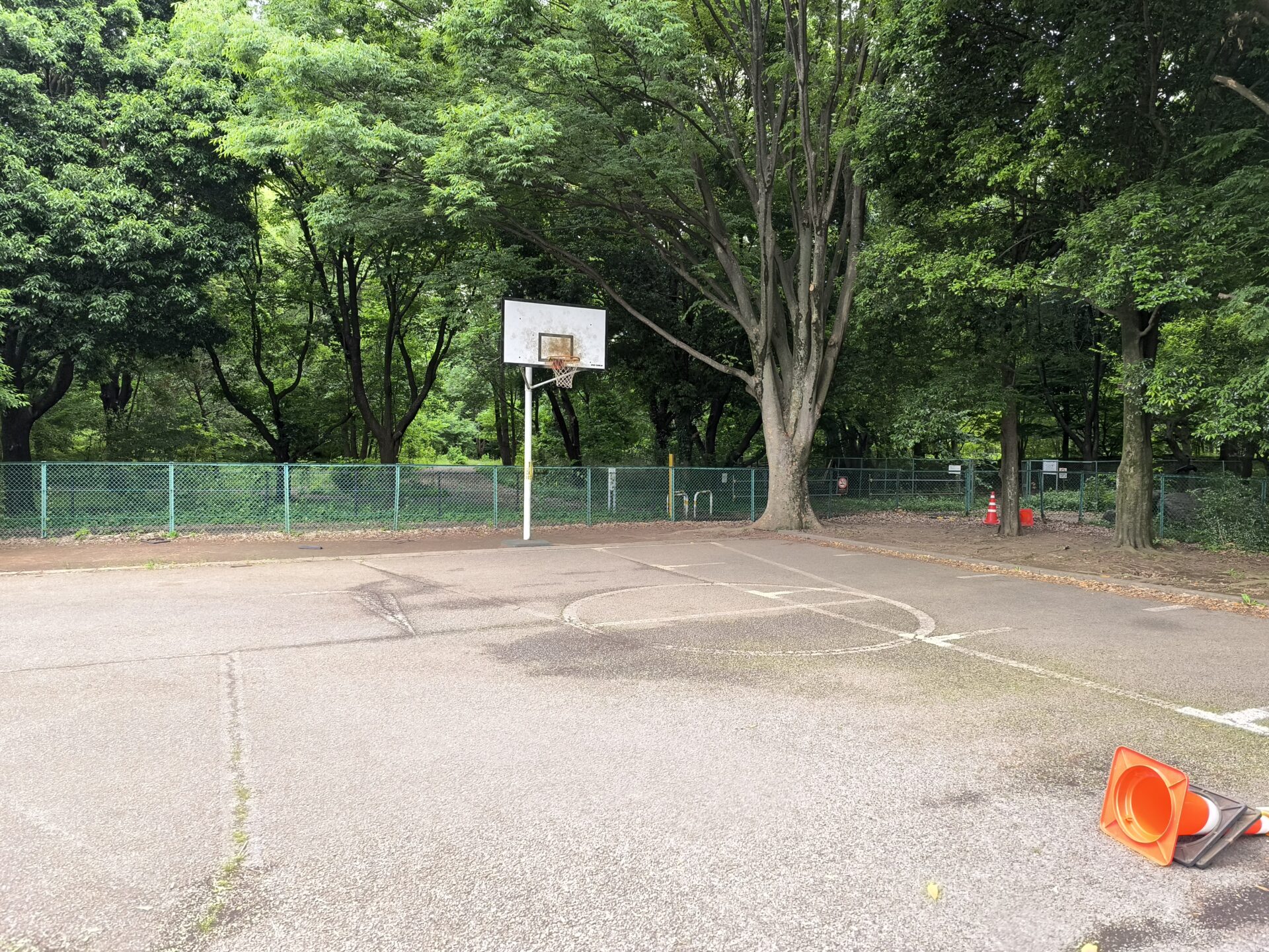 神代植物公園 コート半分2 遠くから