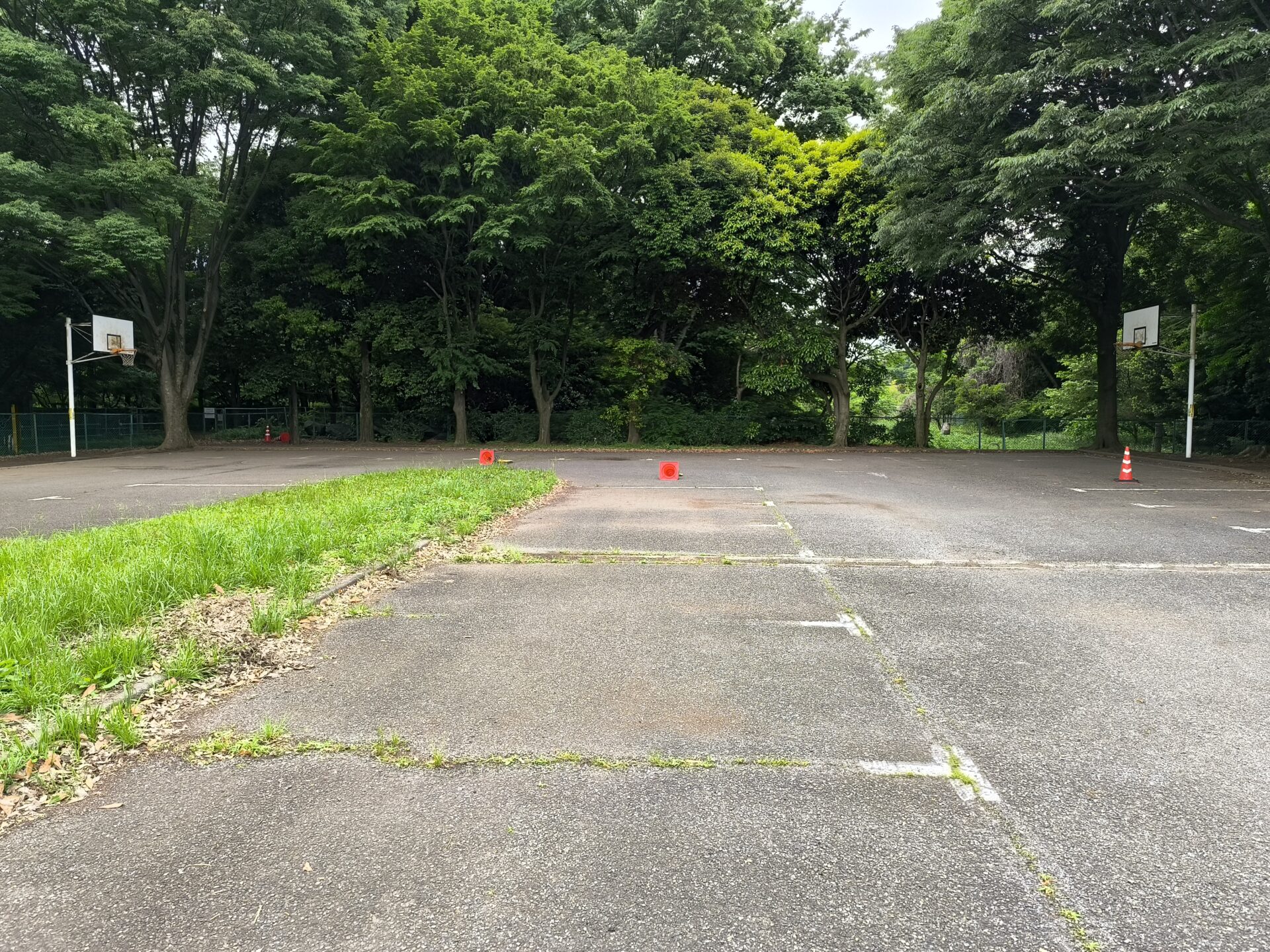 神代植物公園 バスケットコート 全景