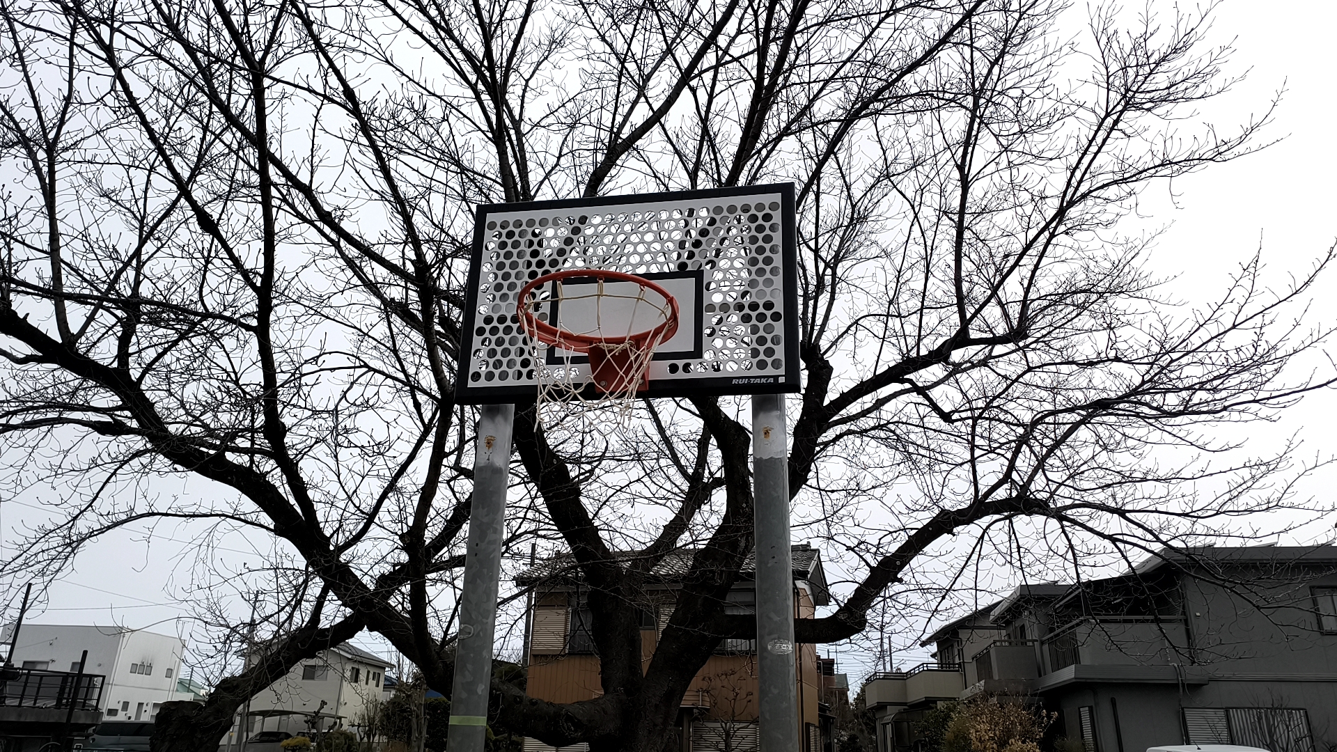 藤公園 バスケットゴール