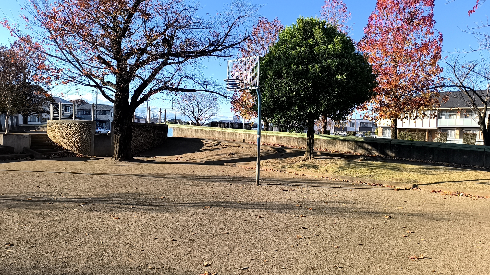 よつや公園の全景
