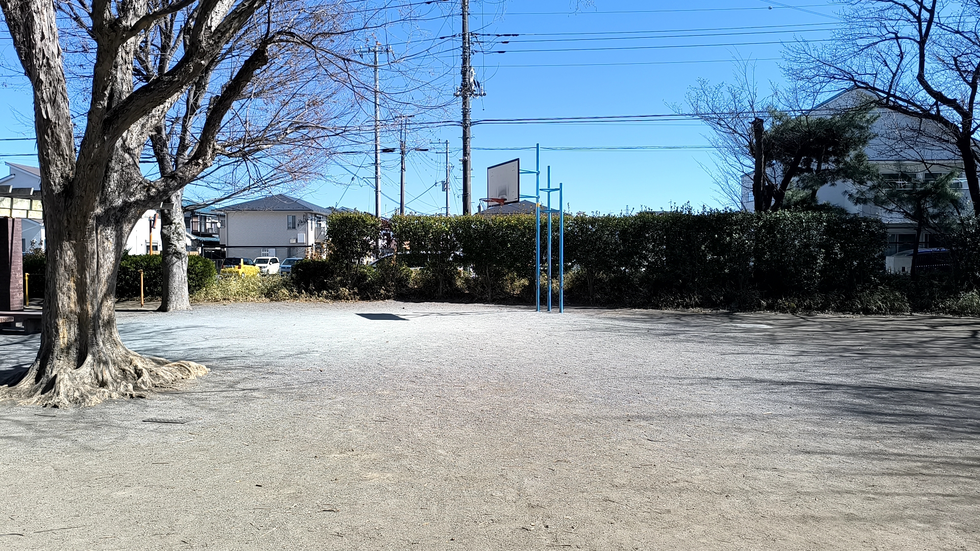 中山公園の全景