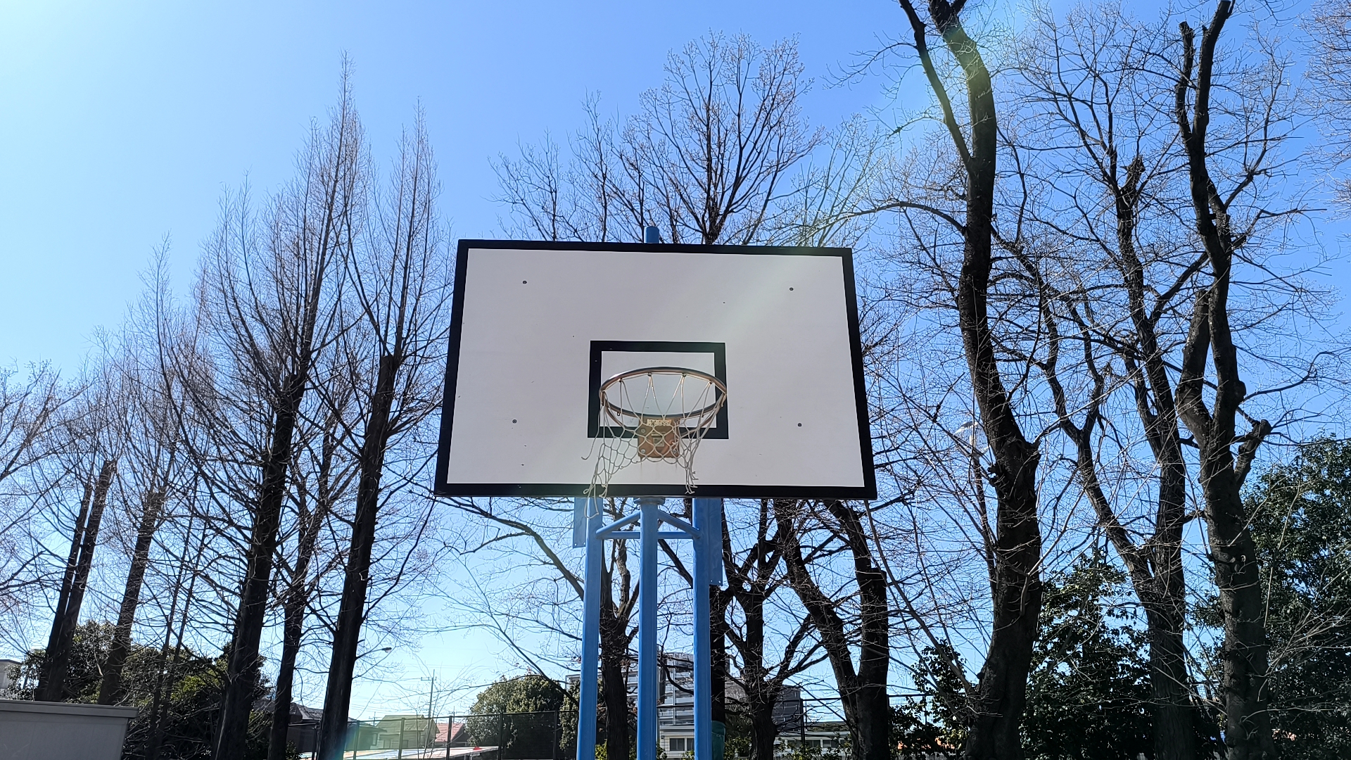 北野公園のバスケットゴール