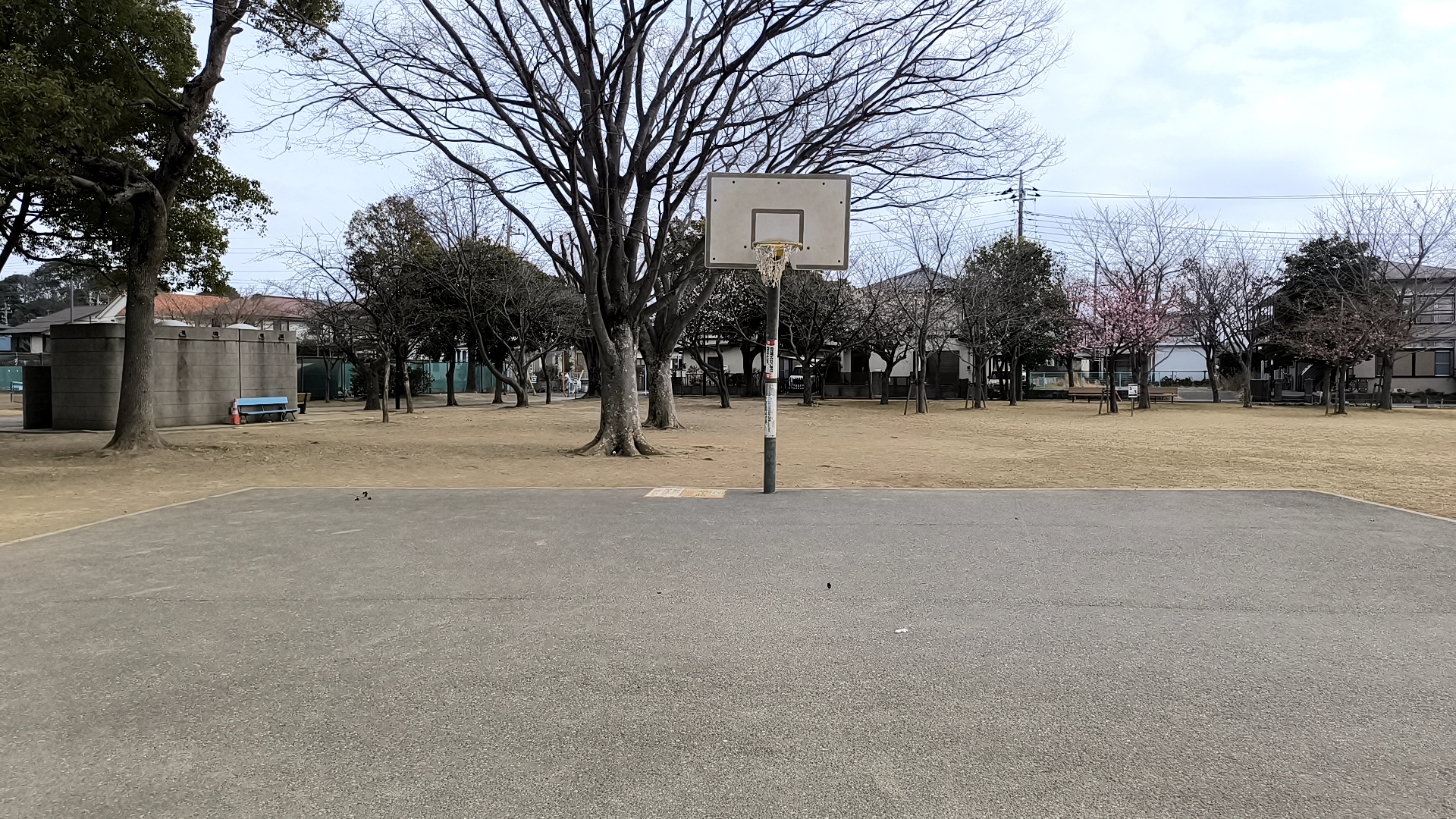 手賀沼公園のバスケットコート