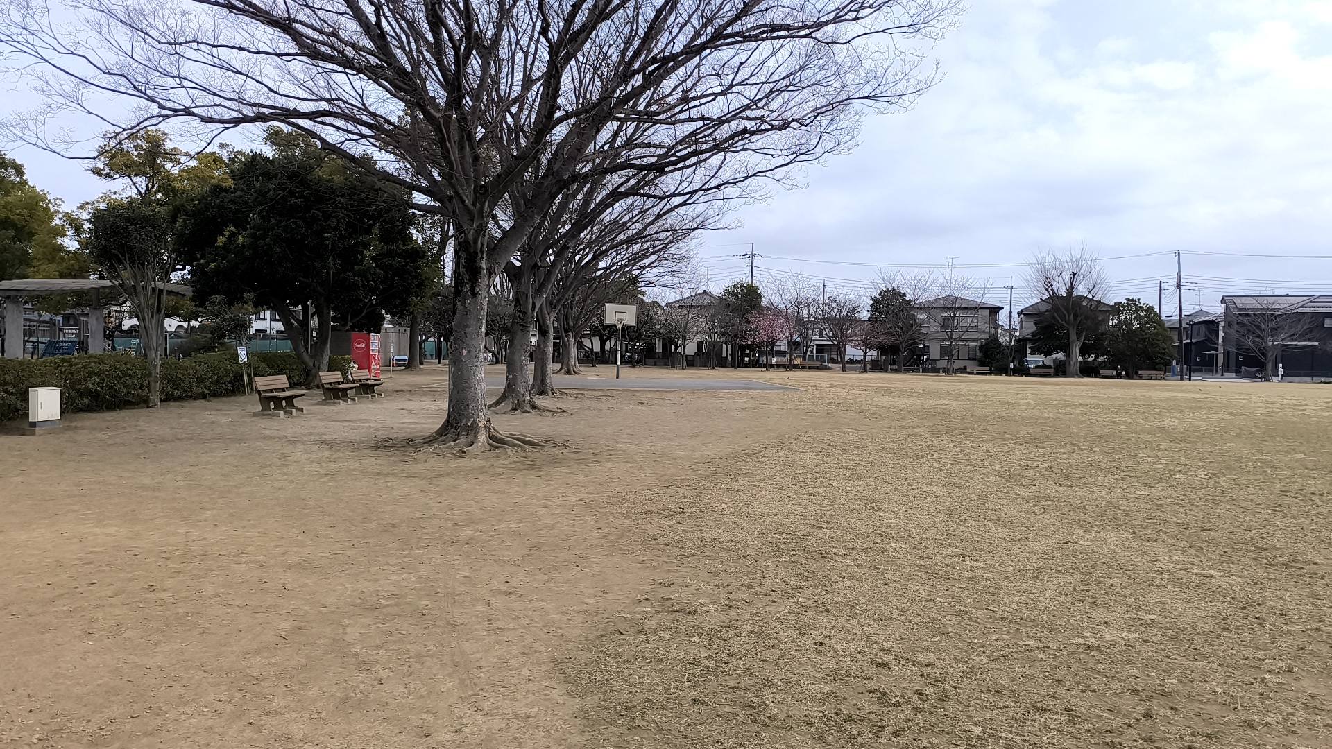 手賀沼公園の全景