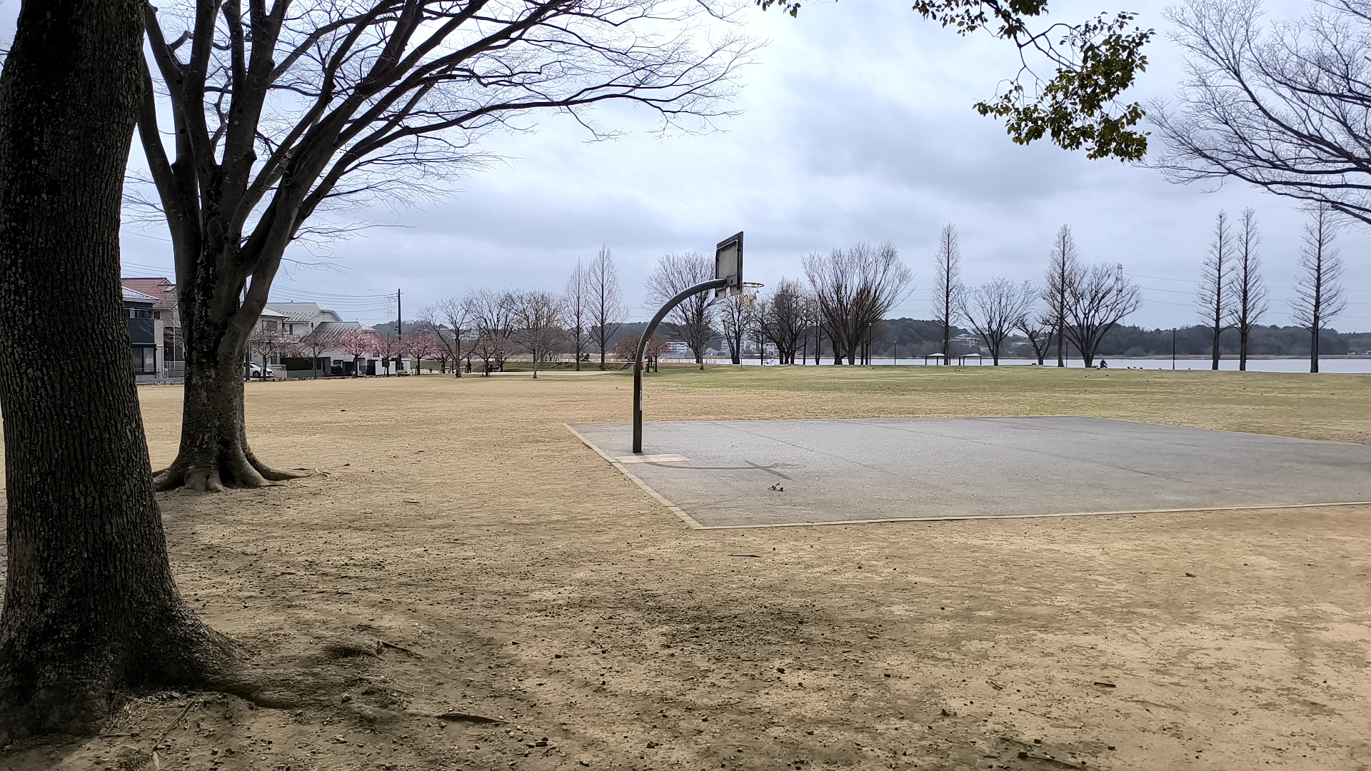 手賀沼公園の広場とバスケットコート