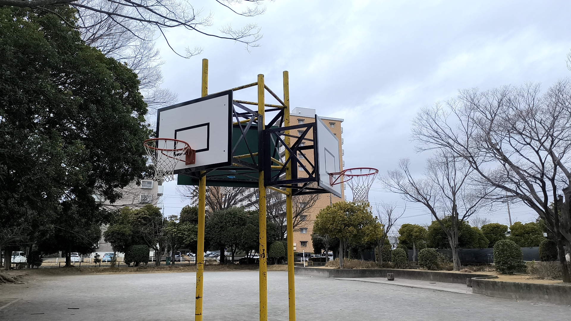 松葉第二近隣公園の中くらいの高さのバスケットゴール