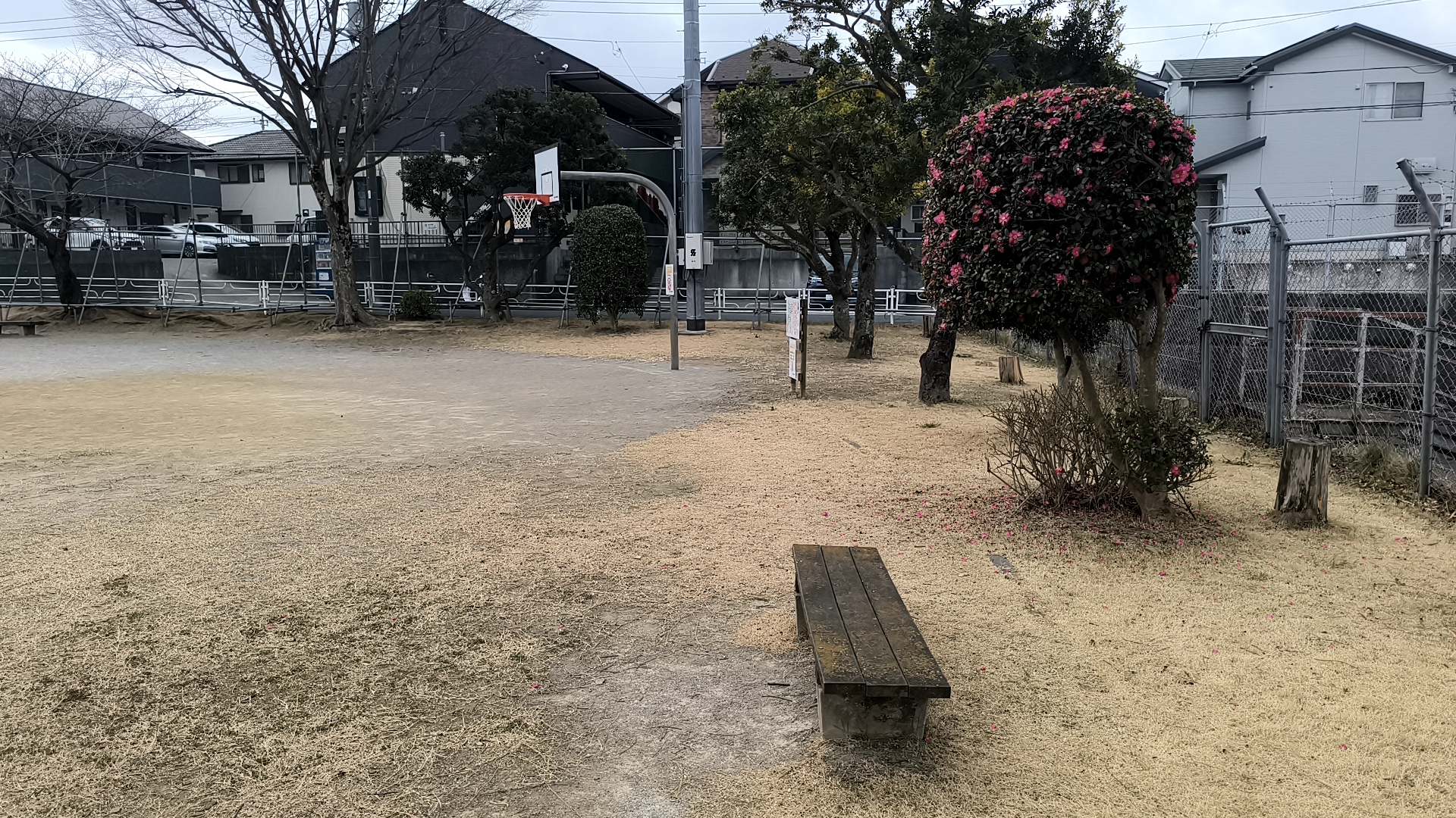 緑台公園のベンチ