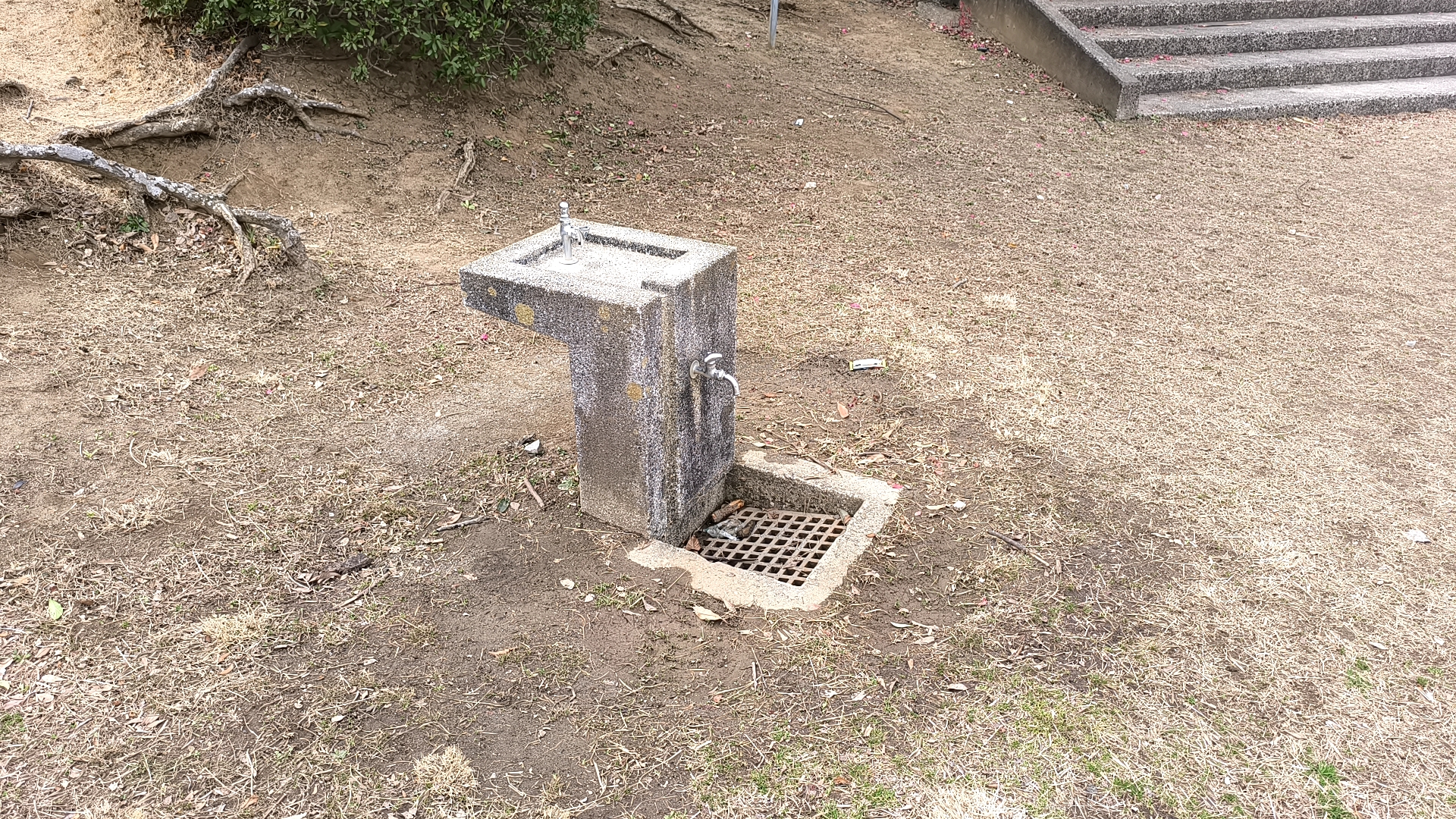 緑台公園の水飲み場