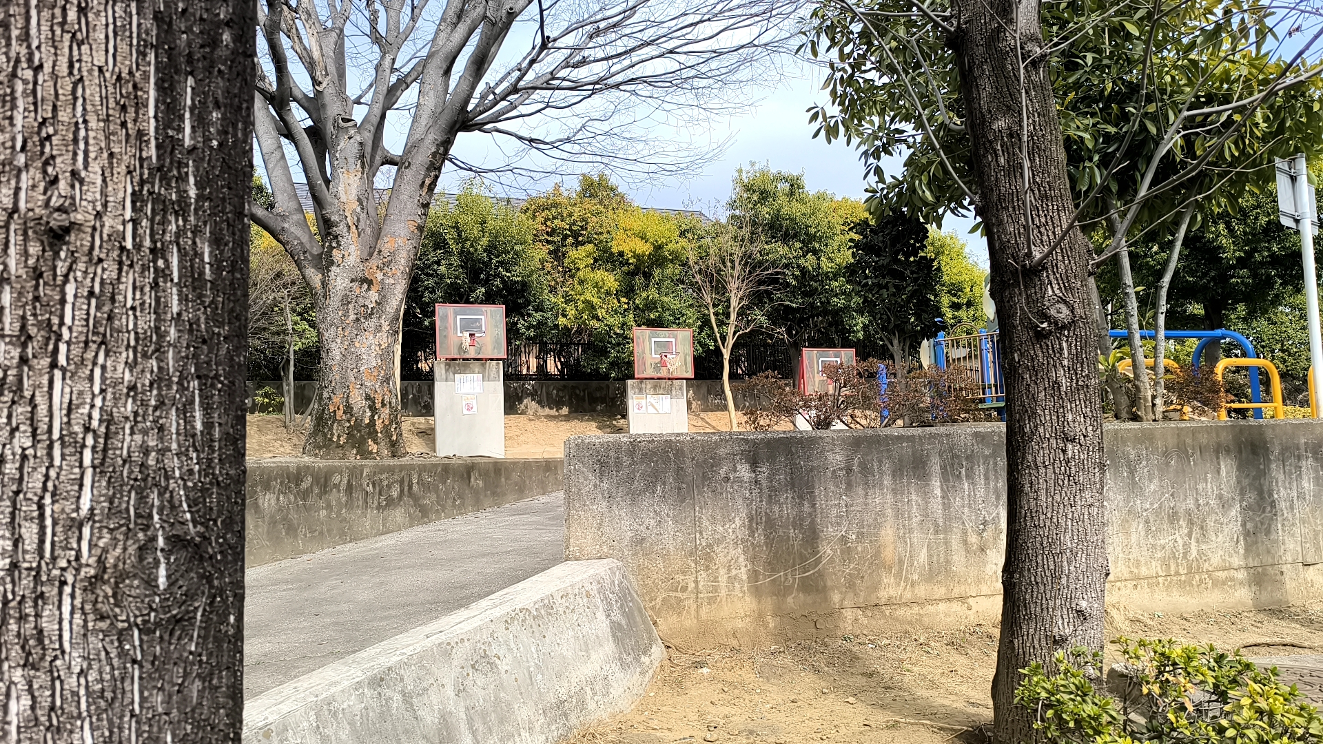 木々の間に3基のバスケットゴールが並ぶ名戸ヶ谷第六公園