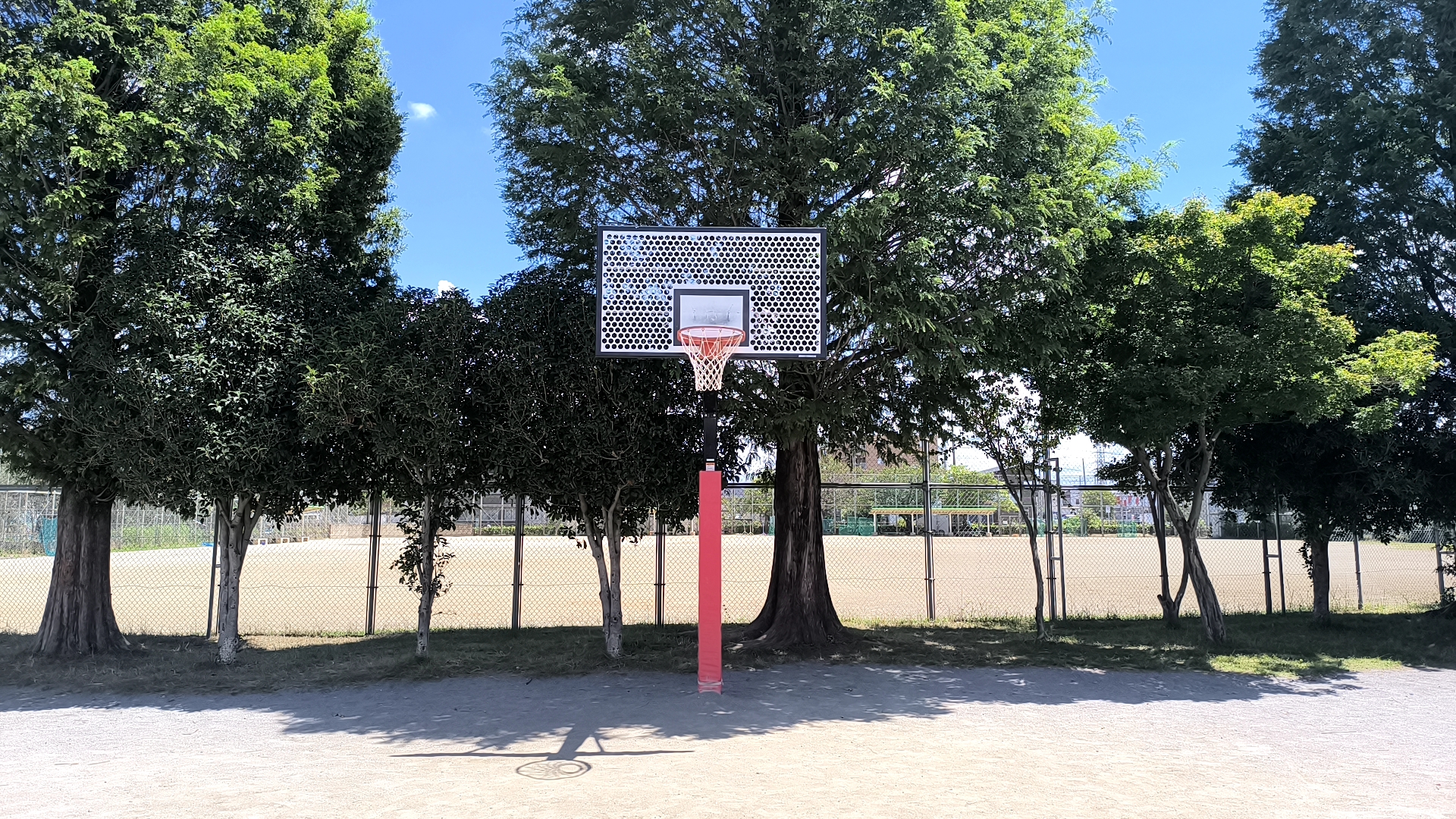 中曽根公園の公式用バスケットゴール