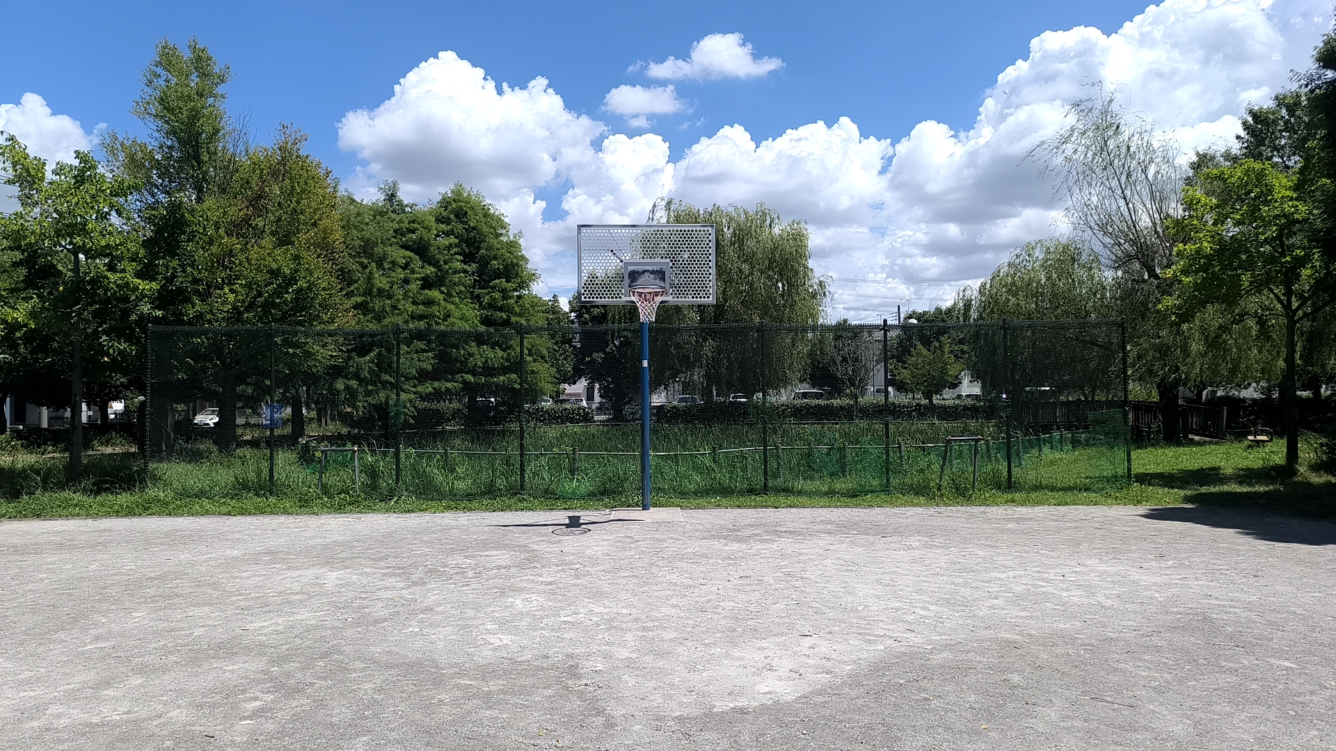 なまずの里公園の公式高バスケットゴール