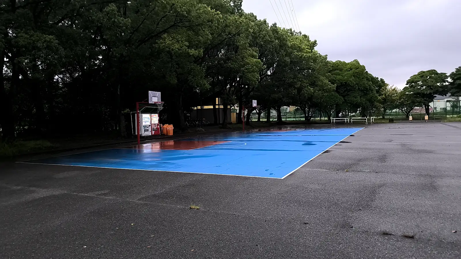 大宮第二公園の青いハーフコートを斜めから見た様子