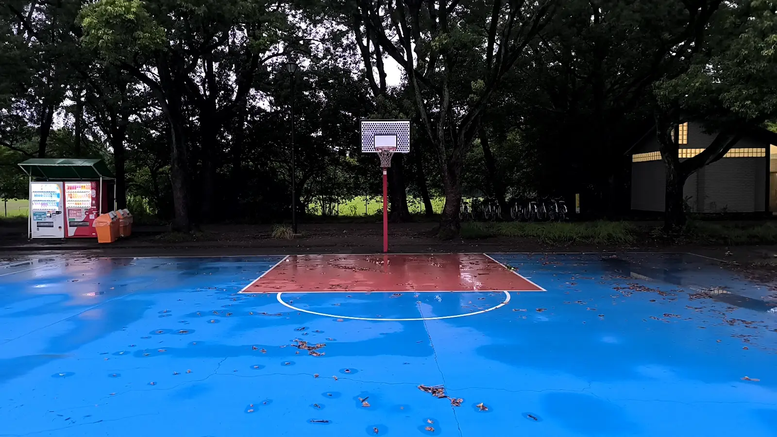 大宮第二公園のミニバス用バスケットゴール2基目