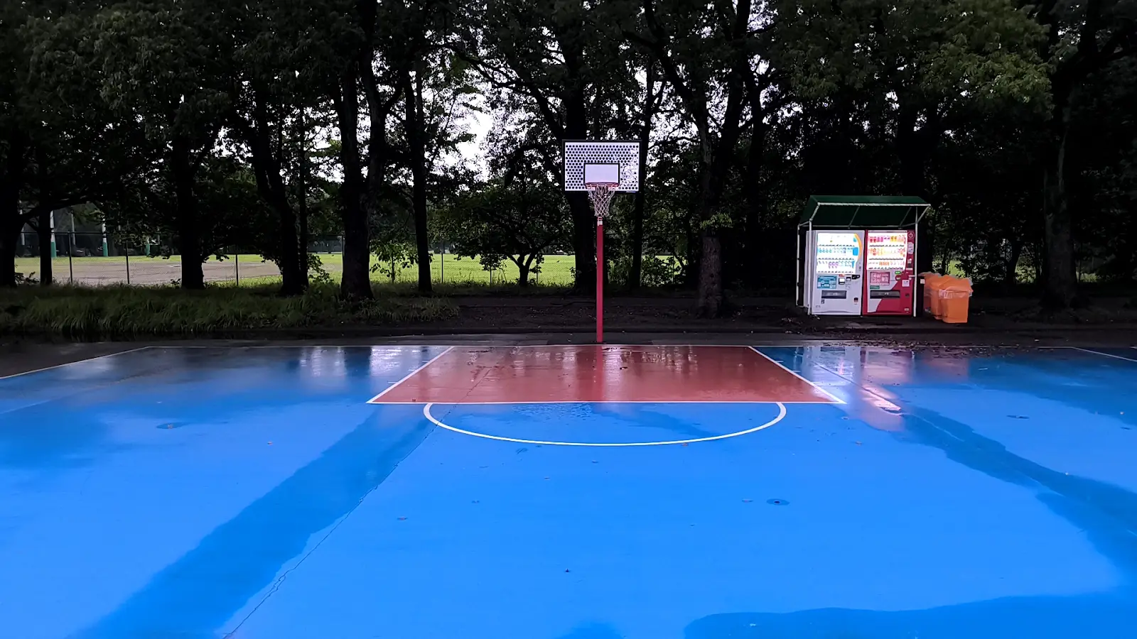 大宮第二公園のミニバス用バスケットゴール1基目