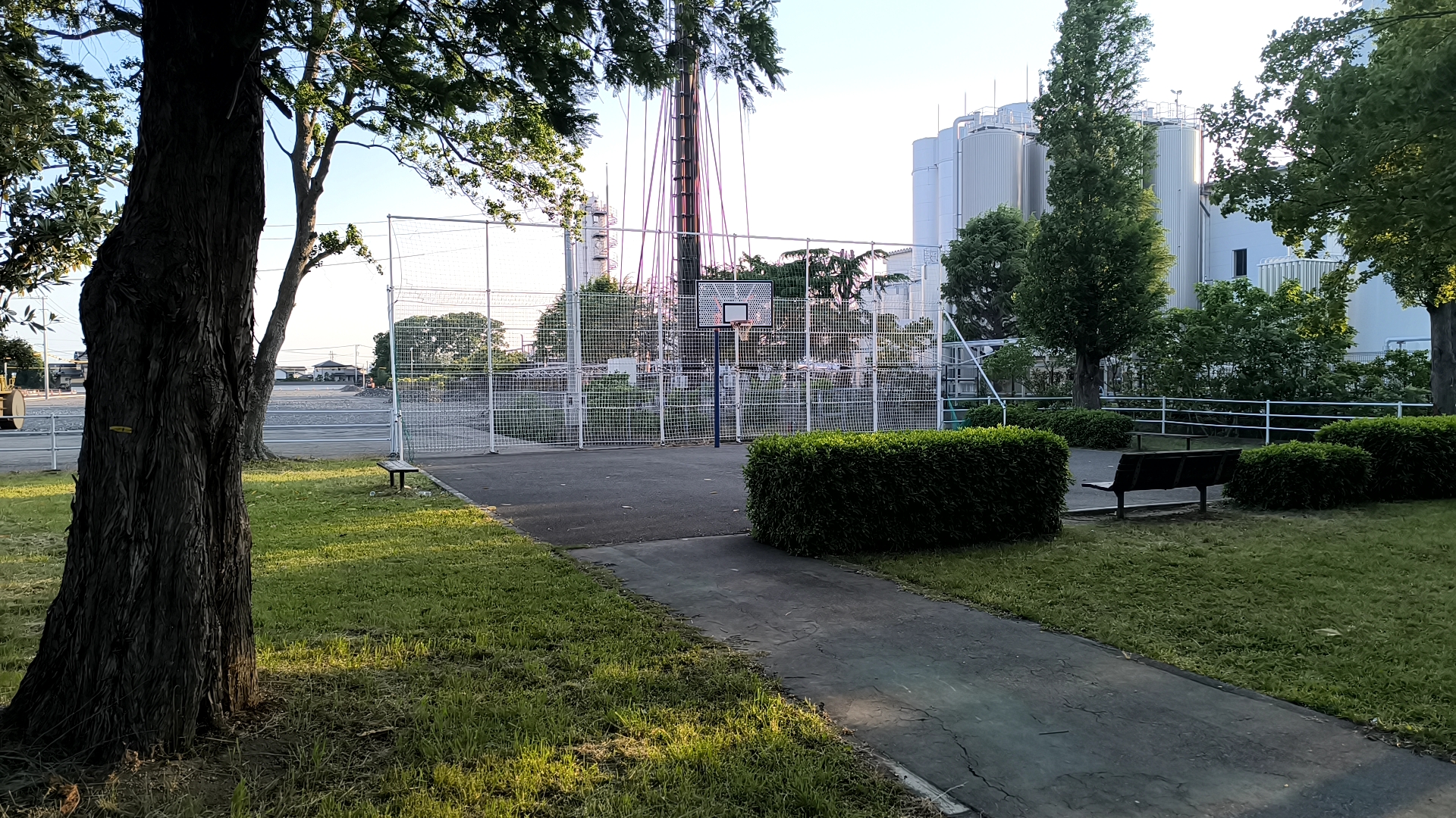 大新田公園の園内からバスケットコートまでの動線