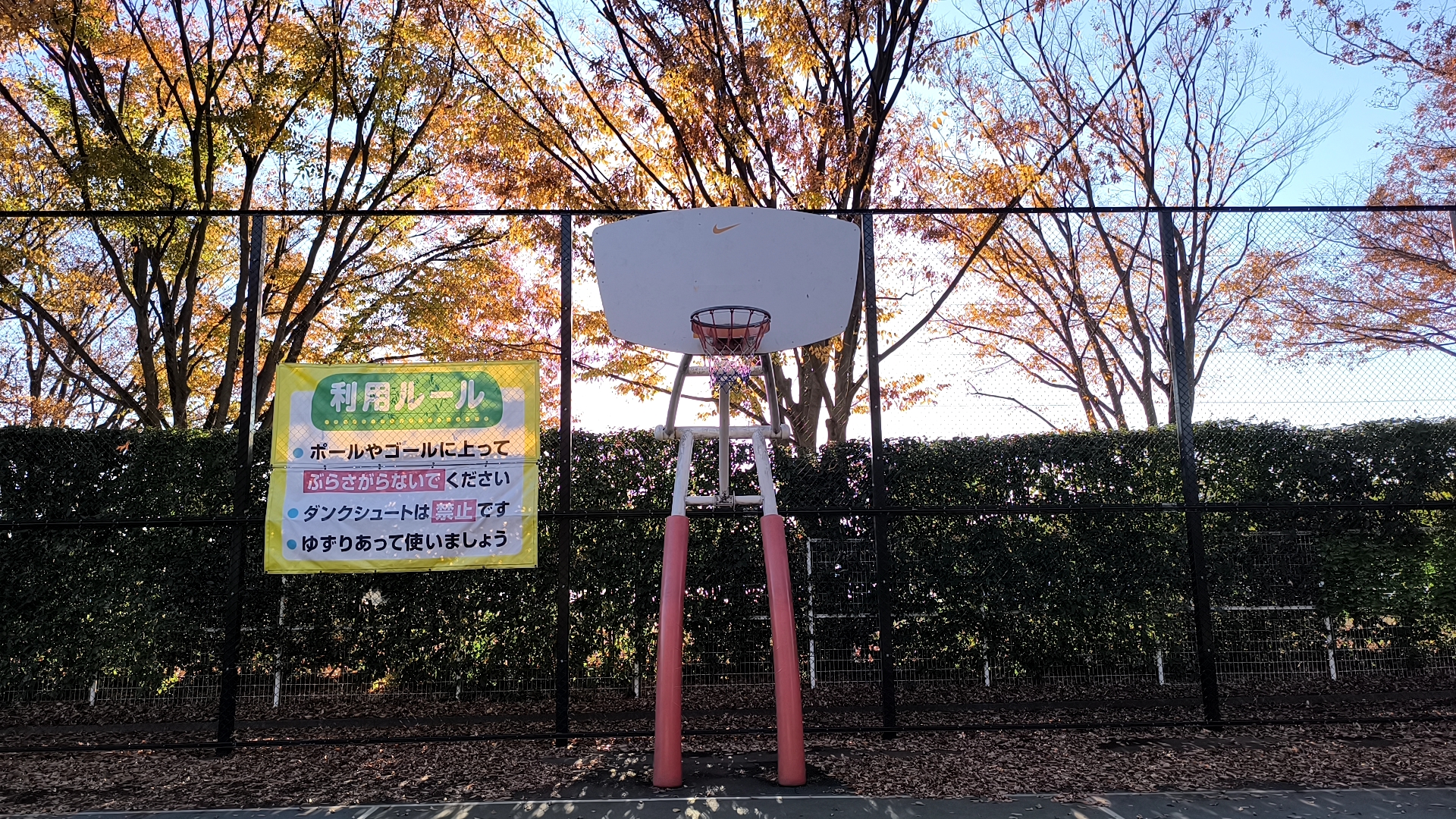 川越公園のバスケットコート