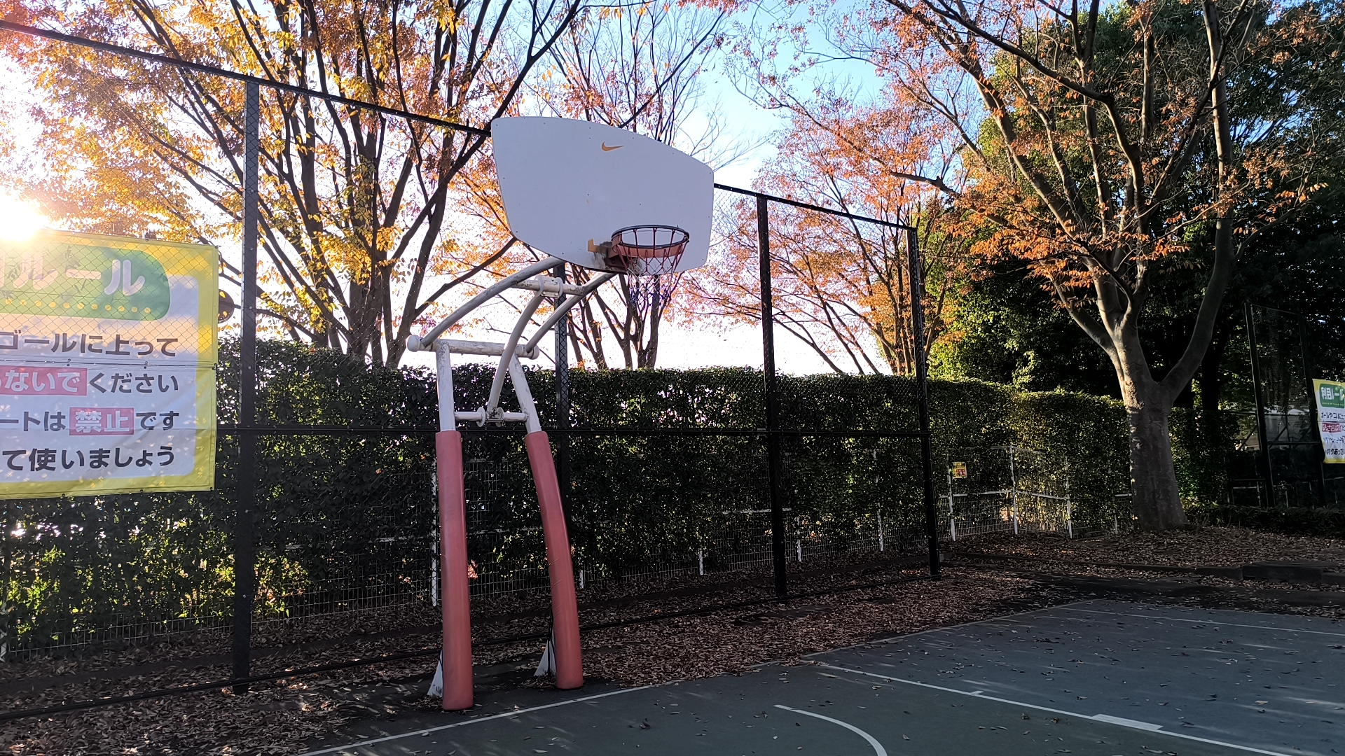 川越公園の一般用バスケットゴール
