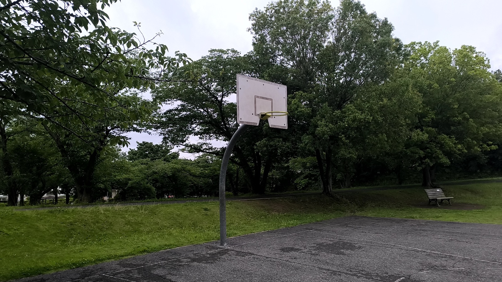 布佐南公園のバスケットコートと周囲の緑