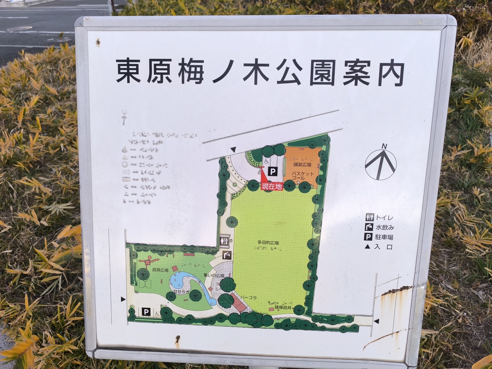バスケットゴール、駐車場、トイレ、水飲み場の位置が分かる東原梅ノ木公園案内図