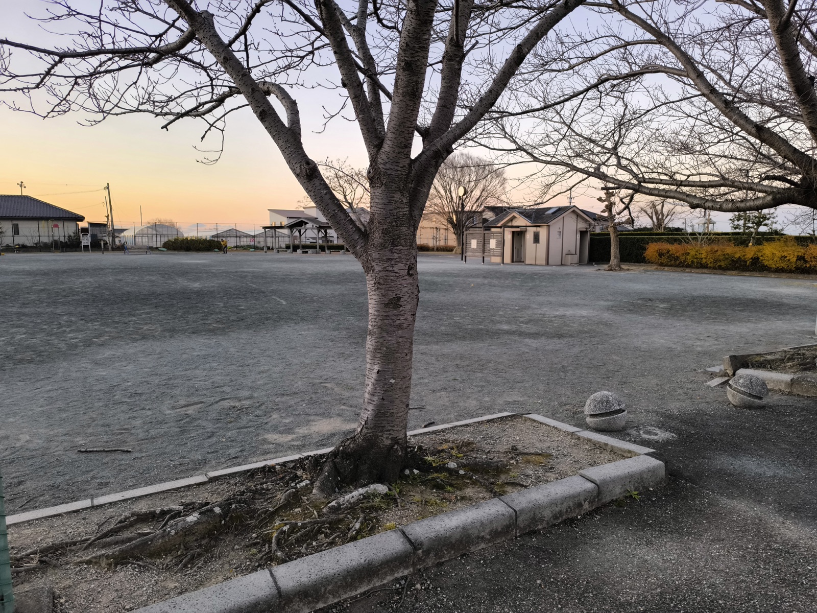 豊田東原梅ノ木公園の広場と樹木、園内設備を見渡した様子