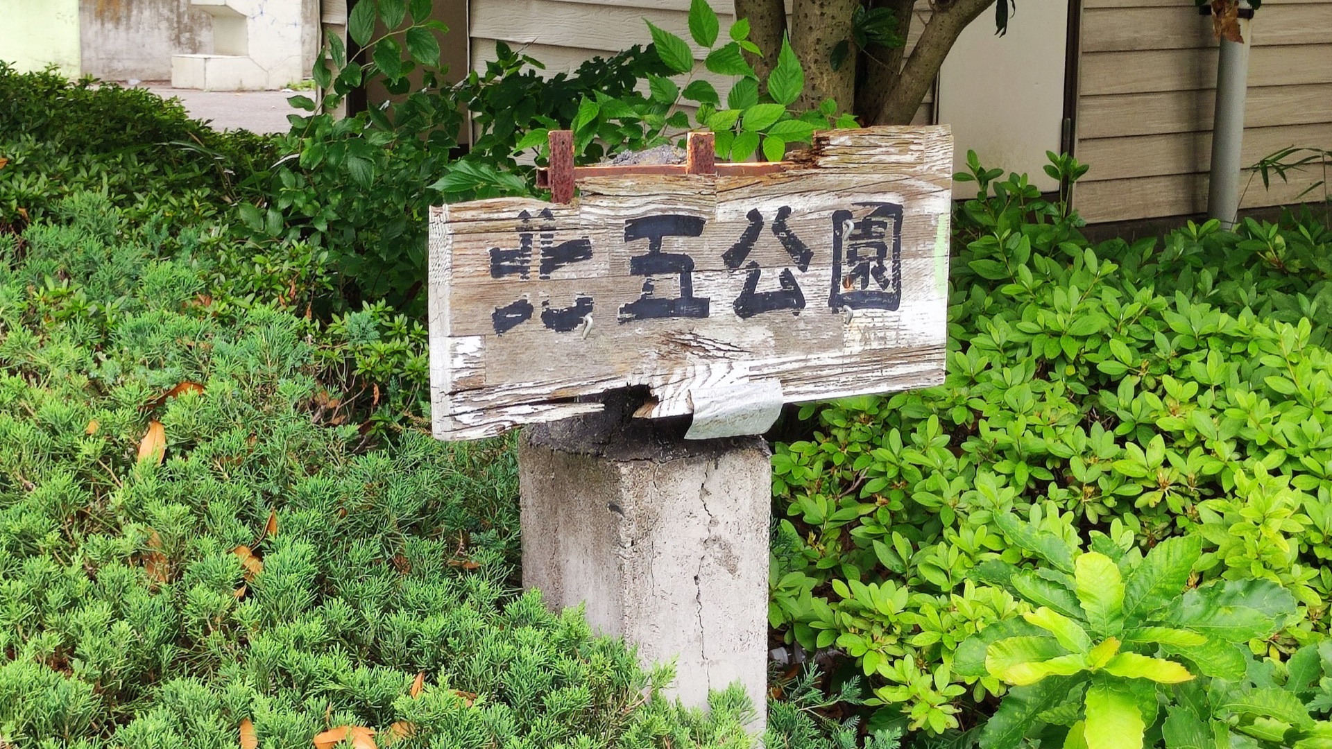 植え込みの中にある北五公園の木製公園名碑
