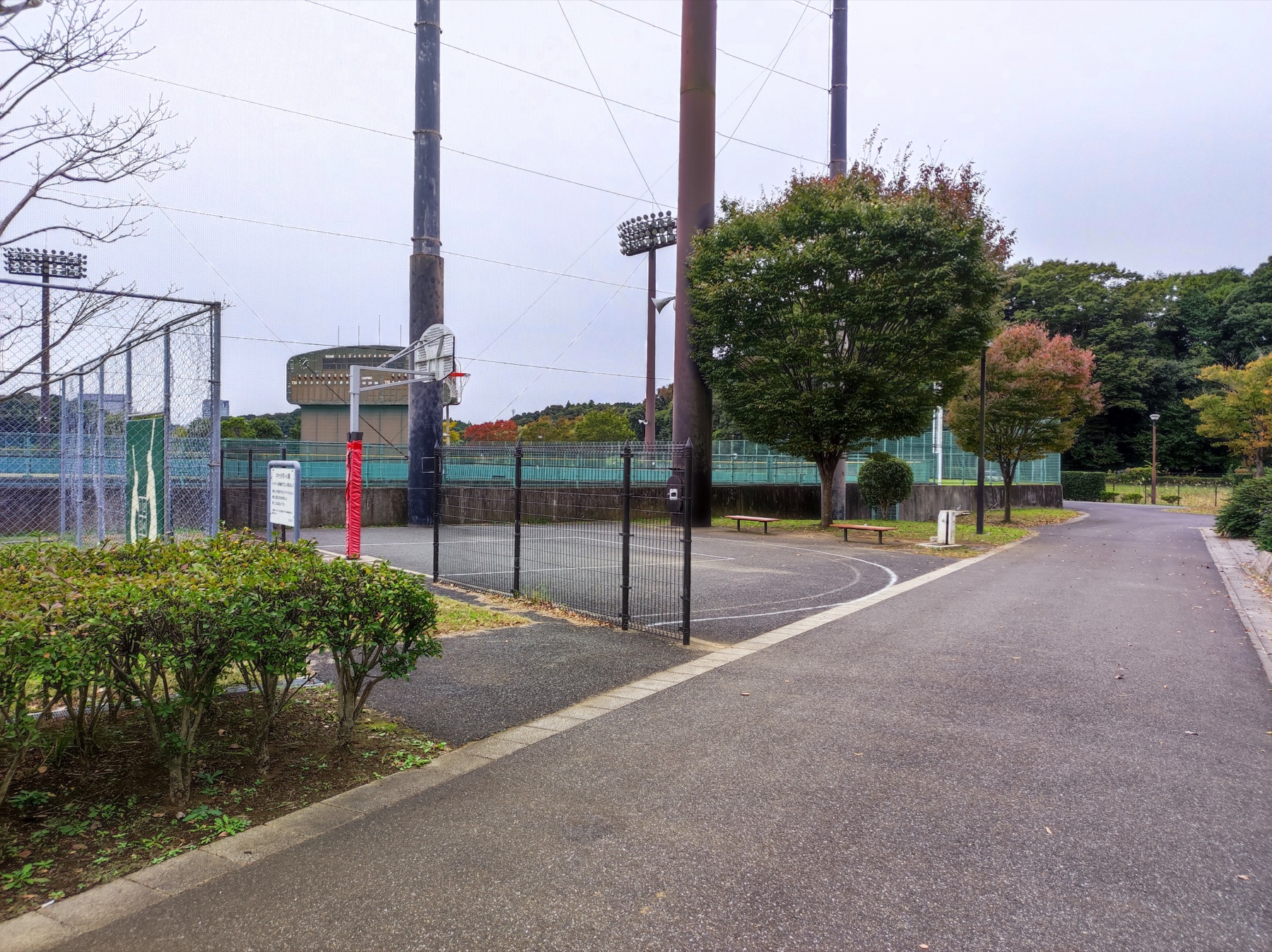 松山下公園の園路から見た屋外バスケットコート全景