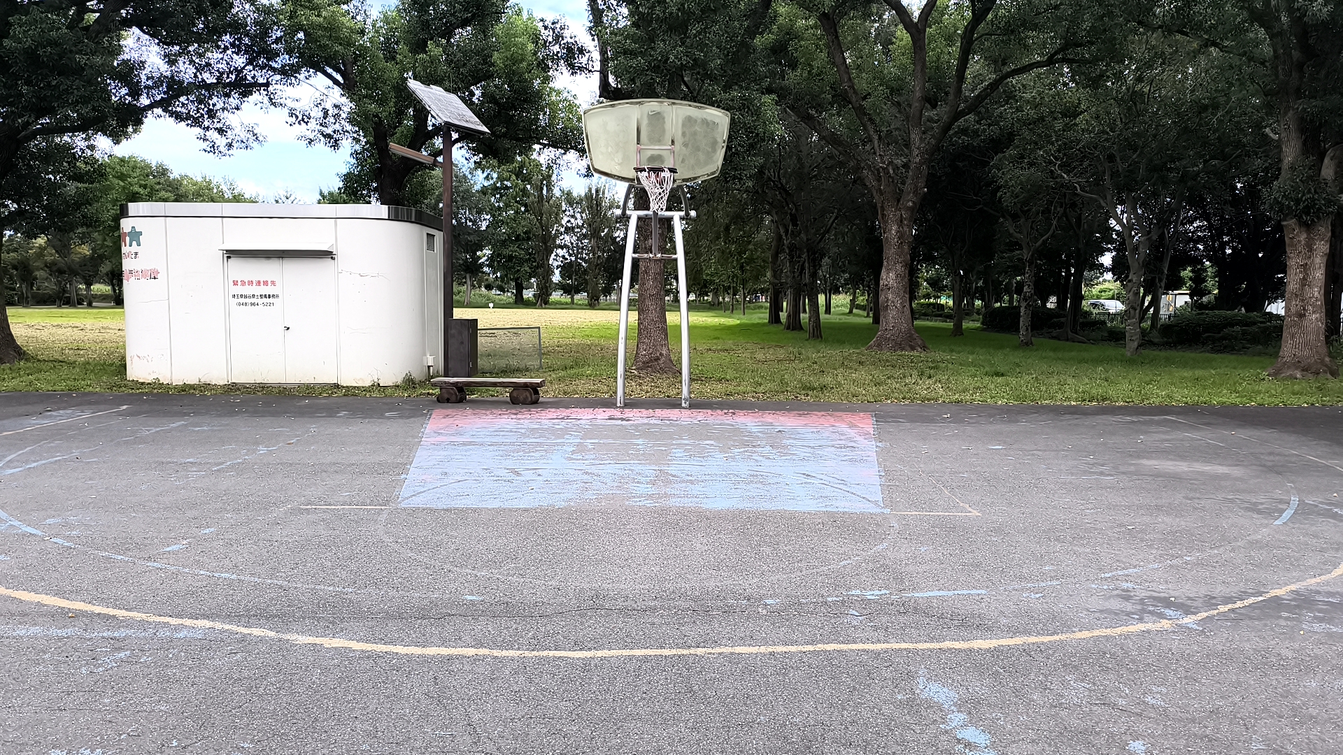 しらこばと公園のゴール正面とコートライン