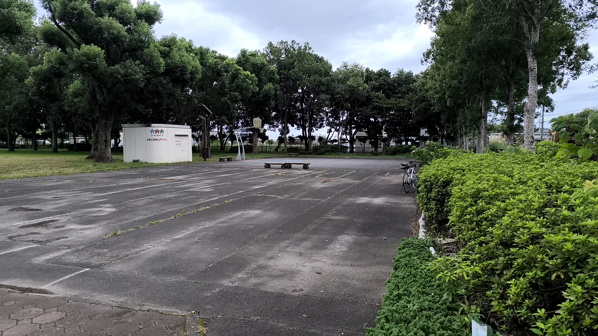 しらこばと公園の木々に囲まれたバスケットコート周辺