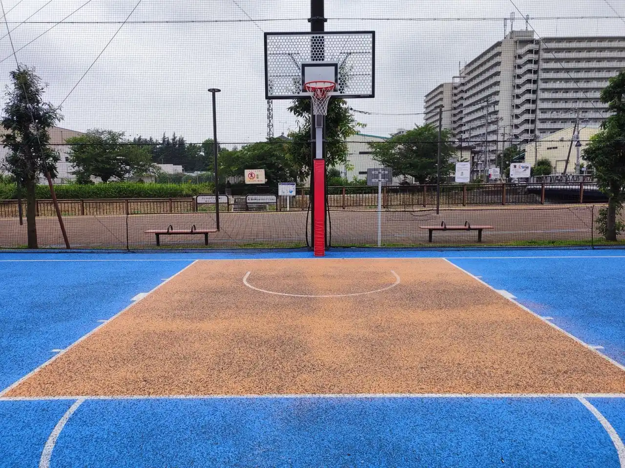 ボール公園の公式用バスケットゴールとペイントエリア