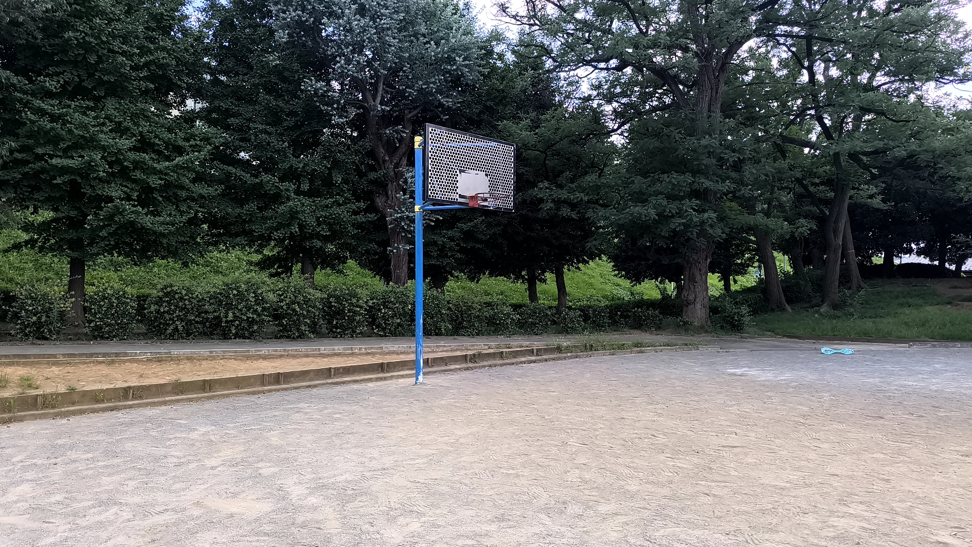つばめ公園の広場と周囲の樹木